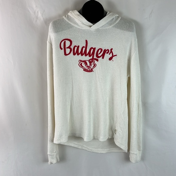University of Wisconsin Badgers Terrycloth Hoodie | Size Large - Picture 8 of 9